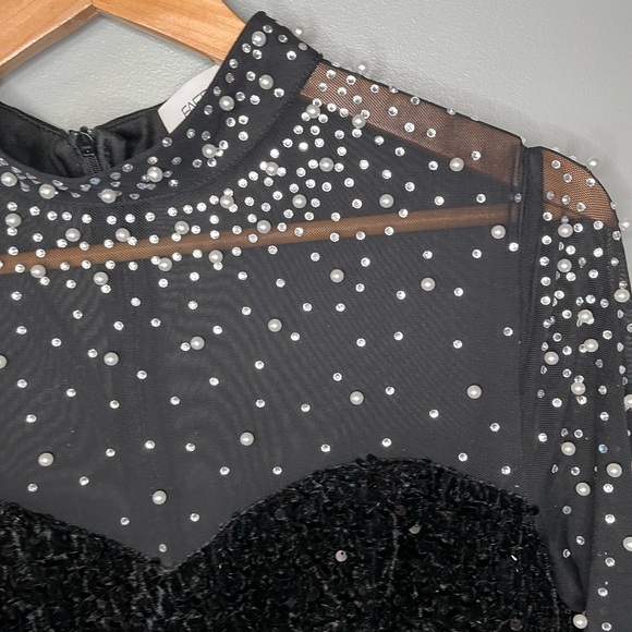 FAERIESTY Velvet Mesh Long Sleeve Sequin Pearl Embellished Maxi Ballgown - Picture 8 of 13